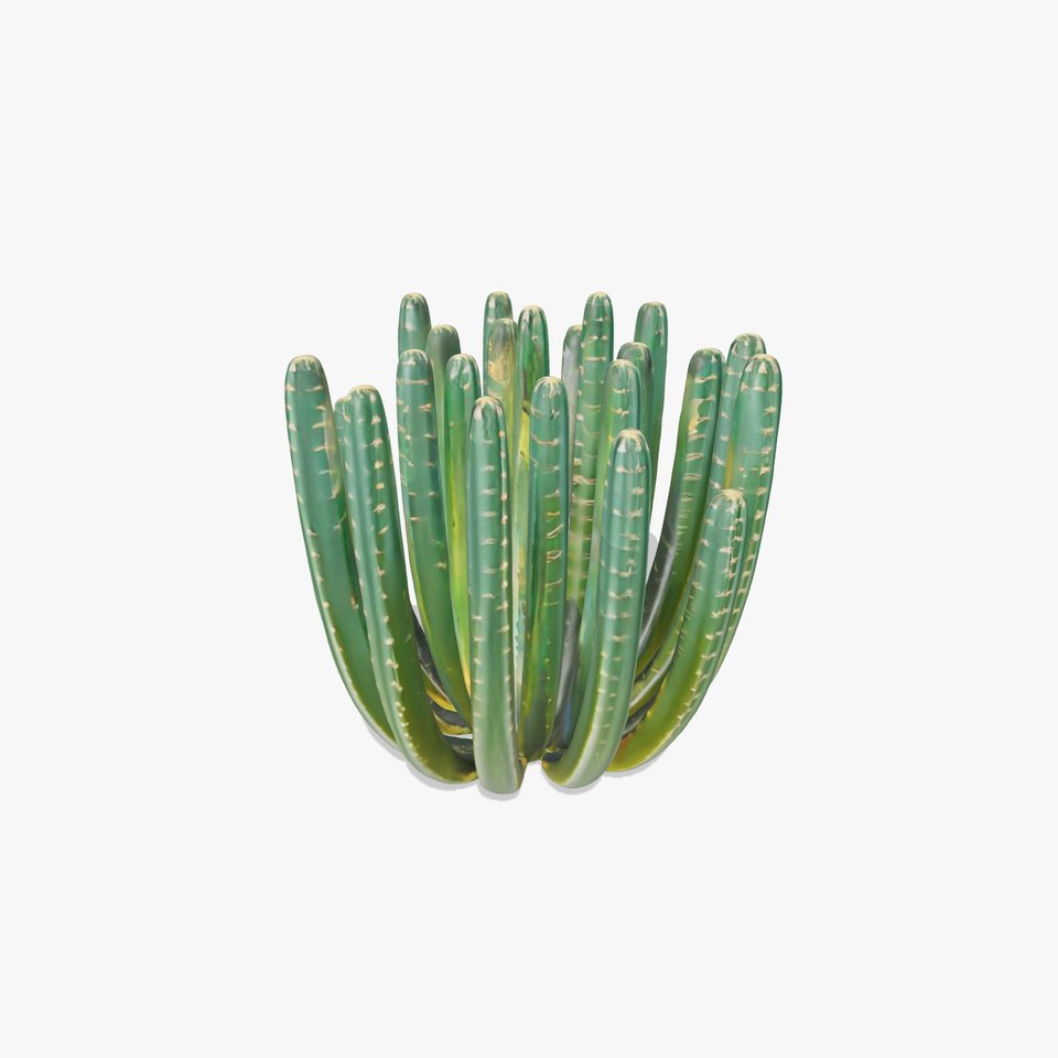 Emerald Cactus Collection model pack